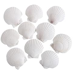 Pcs inch natural for sale  Delivered anywhere in USA 