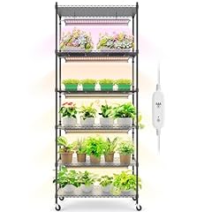 Barrina plant stand for sale  Delivered anywhere in USA 