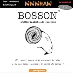 Bosson bélier invisible gebraucht kaufen  Wird an jeden Ort in Deutschland