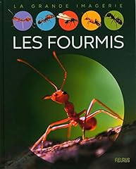 Fourmis d'occasion  Livré partout en France
