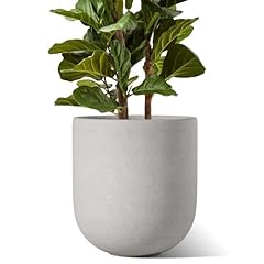 Tauci inch pots for sale  Delivered anywhere in USA 