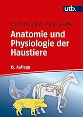 Utb gmbh anatomie gebraucht kaufen  Wird an jeden Ort in Deutschland