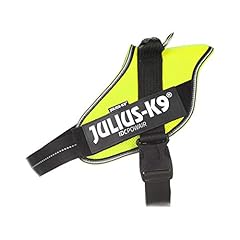 Julius idc powair gebraucht kaufen  Wird an jeden Ort in Deutschland