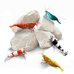 Sungrow shrimp rocks for sale  Delivered anywhere in USA 
