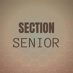 Section senior for sale  Delivered anywhere in UK