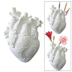 Molyorch vaso anatomico usato  Spedito ovunque in Italia 