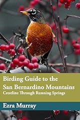 Birding guide san for sale  Delivered anywhere in USA 