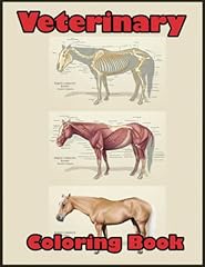 Veterinary anatomy coloring for sale  Delivered anywhere in USA 