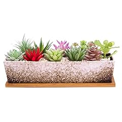 Artketty succulent pots for sale  Delivered anywhere in USA 