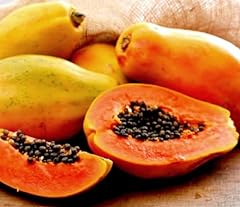 Hawaiian solo papaya for sale  Delivered anywhere in USA 
