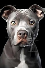 Yvkew blue nose for sale  Delivered anywhere in USA 