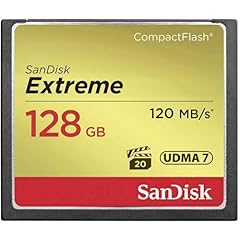 Sandisk extreme 128 usato  Spedito ovunque in Italia 