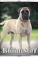 Bullmastiff dog breed for sale  Delivered anywhere in UK
