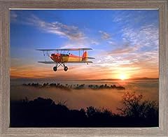 Plane waco framed for sale  Delivered anywhere in USA 