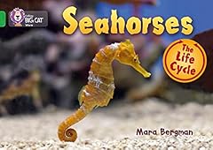 Seahorses band green d'occasion  Livré partout en France