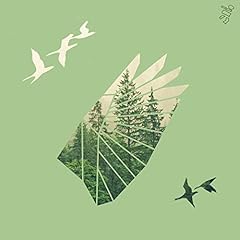 Bosque las alas usato  Spedito ovunque in Italia 