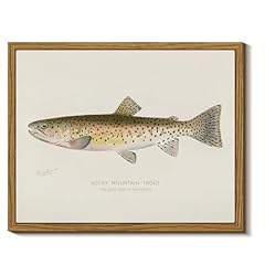 Insimsea vintage framed for sale  Delivered anywhere in USA 