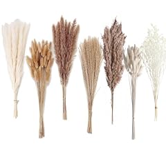 Décoration pampas séchée d'occasion  Livré partout en France