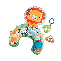 Fisher price gwy91 for sale  Delivered anywhere in USA 