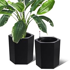 Tropow inch tall for sale  Delivered anywhere in USA 