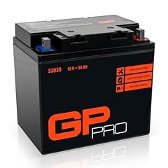 Pro batteria gel usato  Spedito ovunque in Italia 