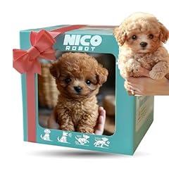 Robot dog nico usato  Spedito ovunque in Italia 
