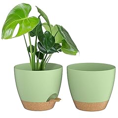Zmtech inch plant for sale  Delivered anywhere in USA 