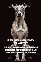 Manuale definitivo del usato  Spedito ovunque in Italia 