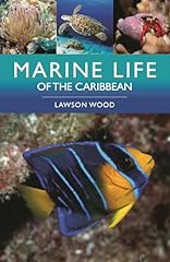 Marine life caribbean for sale  Delivered anywhere in UK