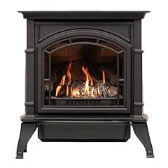 Ashley cast iron for sale  Delivered anywhere in USA 