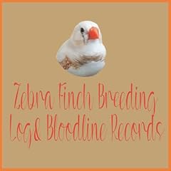 Zebra finch breeding for sale  Delivered anywhere in UK