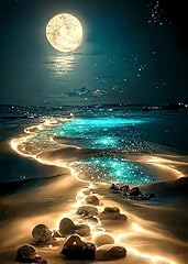 Kinplub moonlight beach for sale  Delivered anywhere in USA 