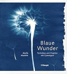 Blaue wunder techniken gebraucht kaufen  Wird an jeden Ort in Deutschland
