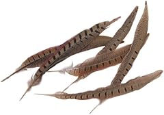 Midwest design ringneck for sale  Delivered anywhere in USA 