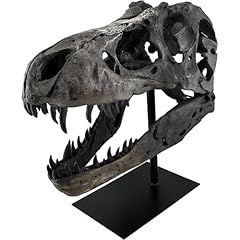 Jotnbobo dinosaur skull for sale  Delivered anywhere in UK