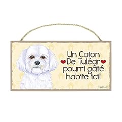 Powergift coton tulear d'occasion  Livré partout en Belgiqu