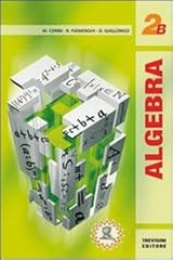 Algebra. vol. 2b. usato  Spedito ovunque in Italia 