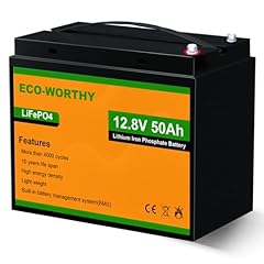 Eco worthy 12v for sale  Delivered anywhere in USA 