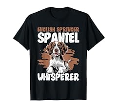 Springer spaniel inglese usato  Spedito ovunque in Italia 