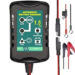 Battery charger automatic for sale  Delivered anywhere in USA 