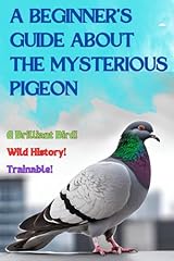 Beginner guide mysterious for sale  Delivered anywhere in UK