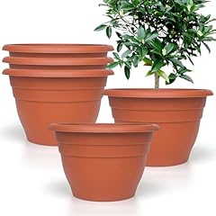Plant pots set for sale  Delivered anywhere in USA 
