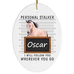 Personal stalker follow for sale  Delivered anywhere in USA 