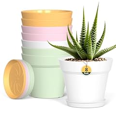 Plastic plant pots for sale  Delivered anywhere in UK