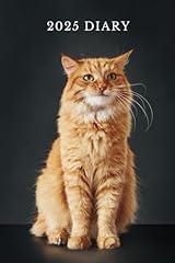 Ginger cat diary for sale  Delivered anywhere in UK