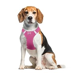 Doggie design dog for sale  Delivered anywhere in USA 