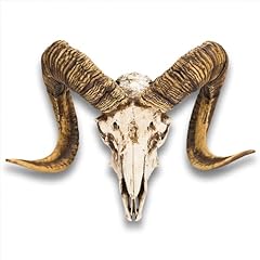 Exclusive bighorn sheep for sale  Delivered anywhere in USA 