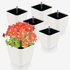 Cprosp lot pots d'occasion  Livré partout en Belgiqu