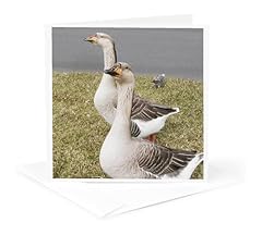 3drose greeting card for sale  Delivered anywhere in USA 
