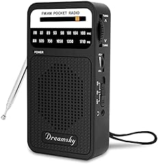 Dreamsky taschenradios batteri gebraucht kaufen  Wird an jeden Ort in Deutschland